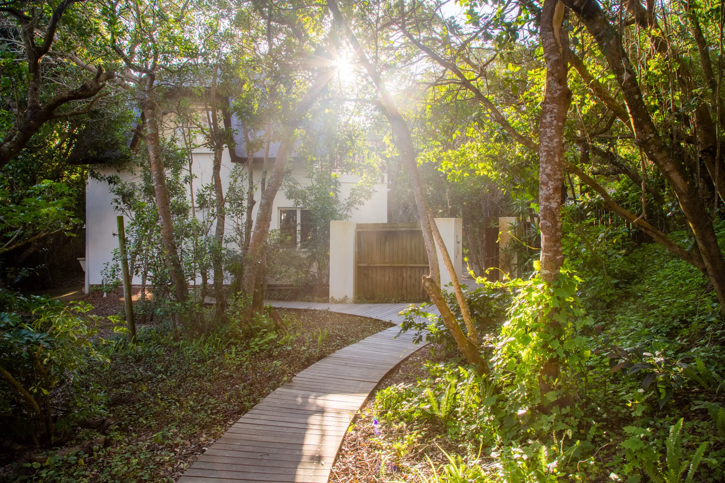 Candlewood Cottage, a thatched holiday villa in St. Francis Bay nestled among Candlewood trees. A serene self-catering retreat sleeping up to 8 guests, featuring elegant, pared-down interiors, a cosy loft with its own TV and kitchenette, and easy access to canals and the beach.