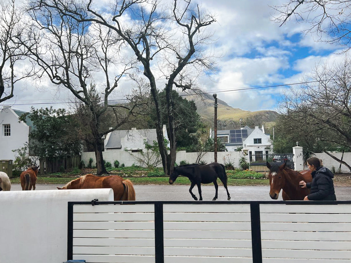 Eva House, Greyton