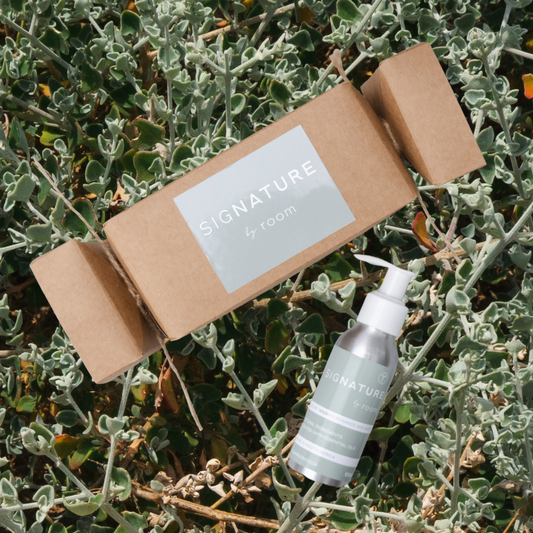 SigNATURE Wash Christmas Cracker