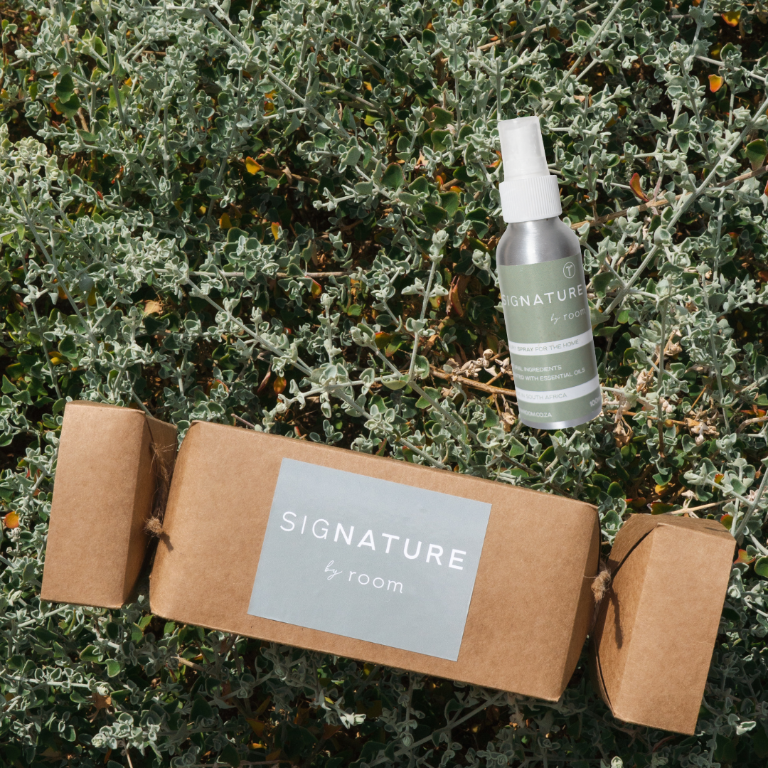 SigNATURE Spray Christmas Cracker (100ml)