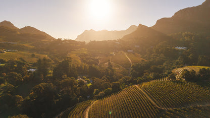 Witteboomen Forest Cottage, Constantia