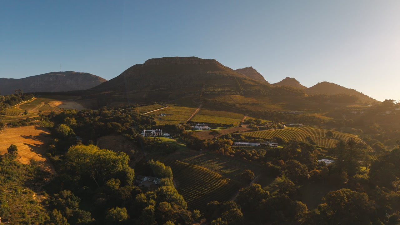 Witteboomen Forest Cottage, Constantia