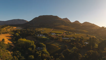 Witteboomen Forest Cottage, Constantia