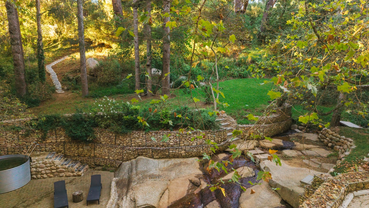 Witteboomen Forest Cottage, Constantia