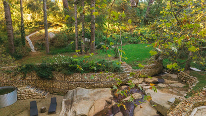 Witteboomen Forest Cottage, Constantia
