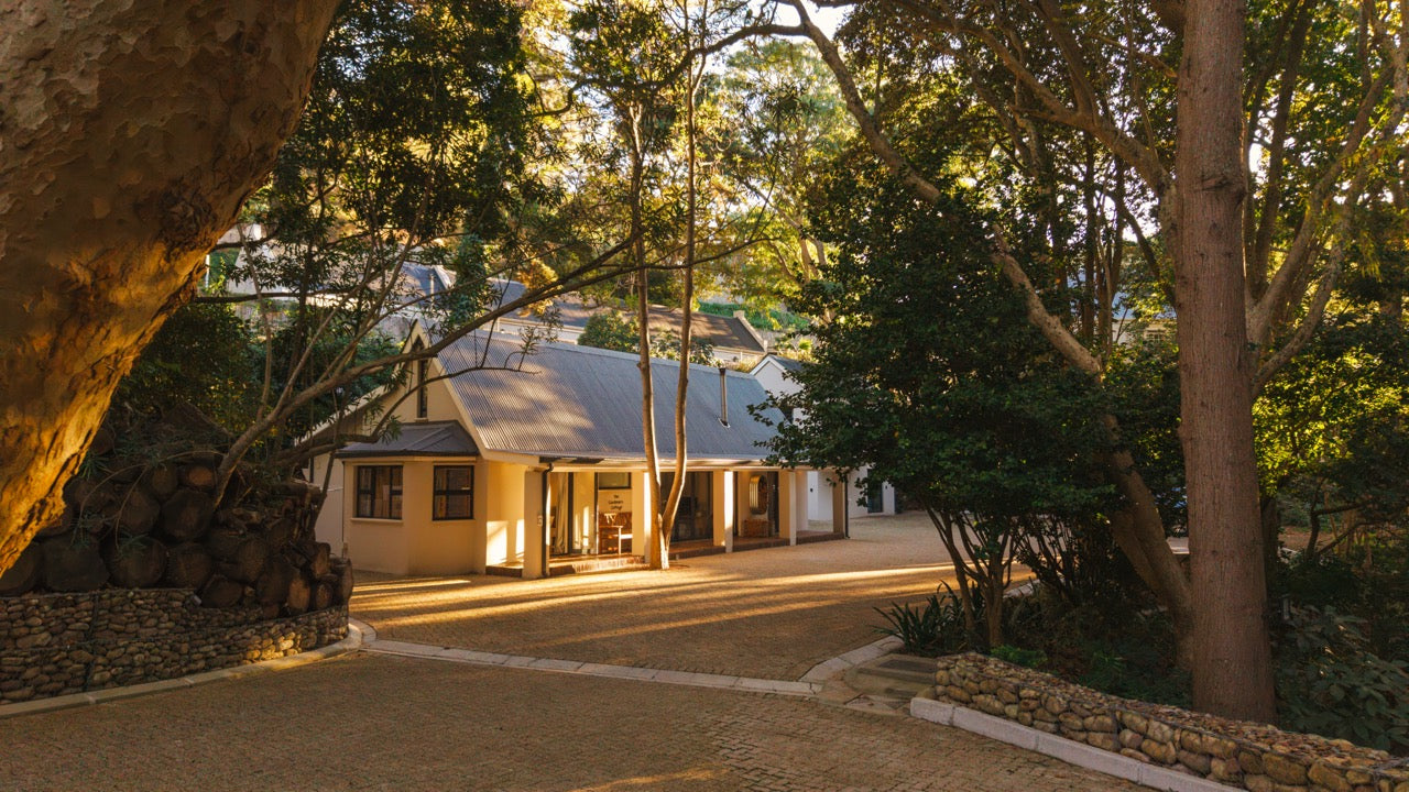 Witteboomen Forest Cottage, Constantia