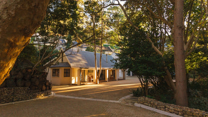 Witteboomen Forest Cottage, Constantia
