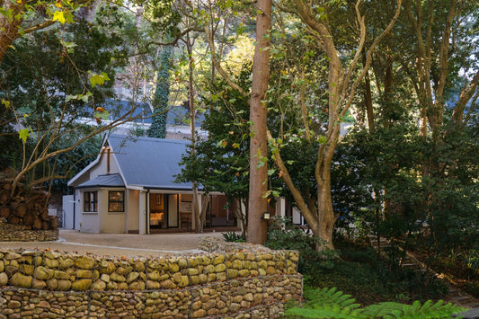 Witteboomen Forest Cottage, Constantia