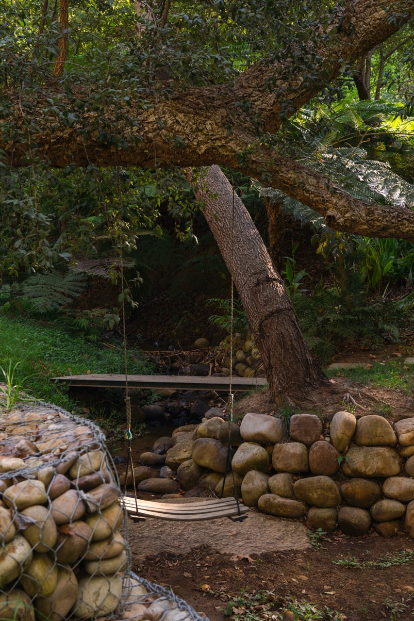 Witteboomen Forest Cottage, Constantia