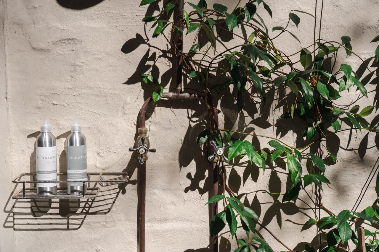 Witteboomen Forest Cottage, Constantia
