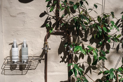 Witteboomen Forest Cottage, Constantia