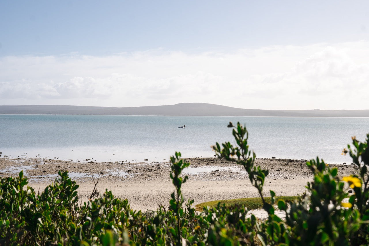 Milkwood Cottage, Churchhaven