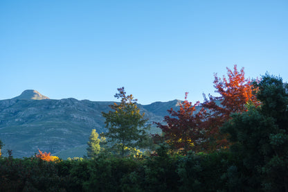 Eva House, Greyton