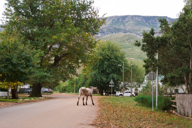 Eva House, Greyton