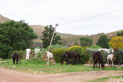 Eva House, Greyton