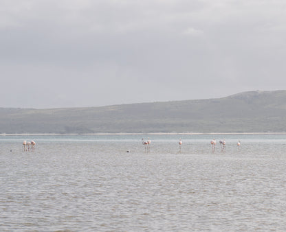 Slipway Cottage, Churchhaven