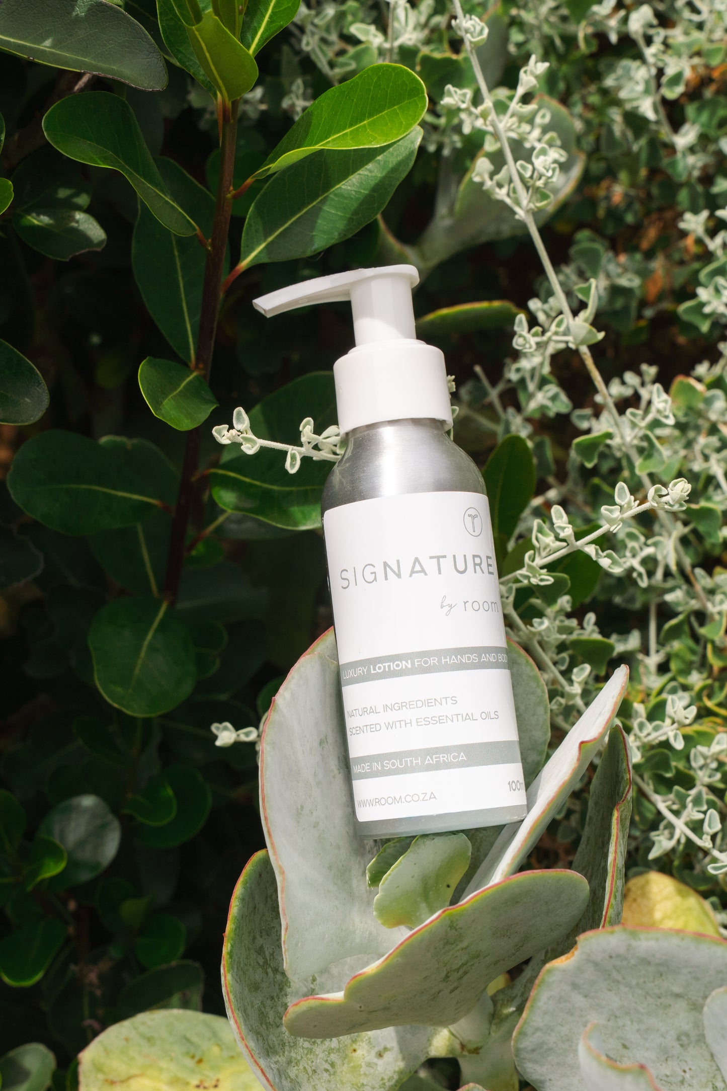 SigNATURE Lotion Christmas Cracker (100ml)