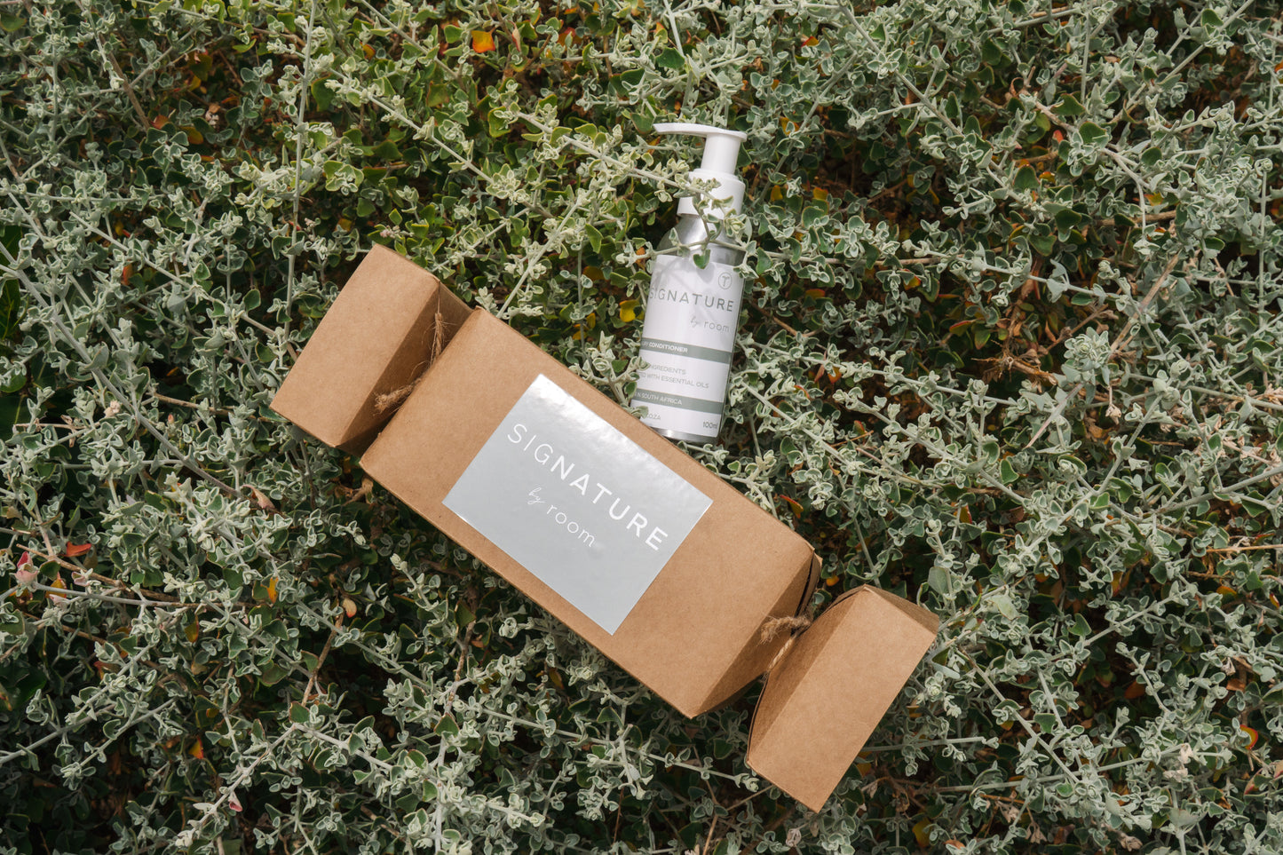 SigNATURE Conditioner Christmas Cracker (100ml)