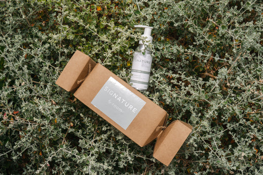 SigNATURE Conditioner Christmas Cracker (100ml)