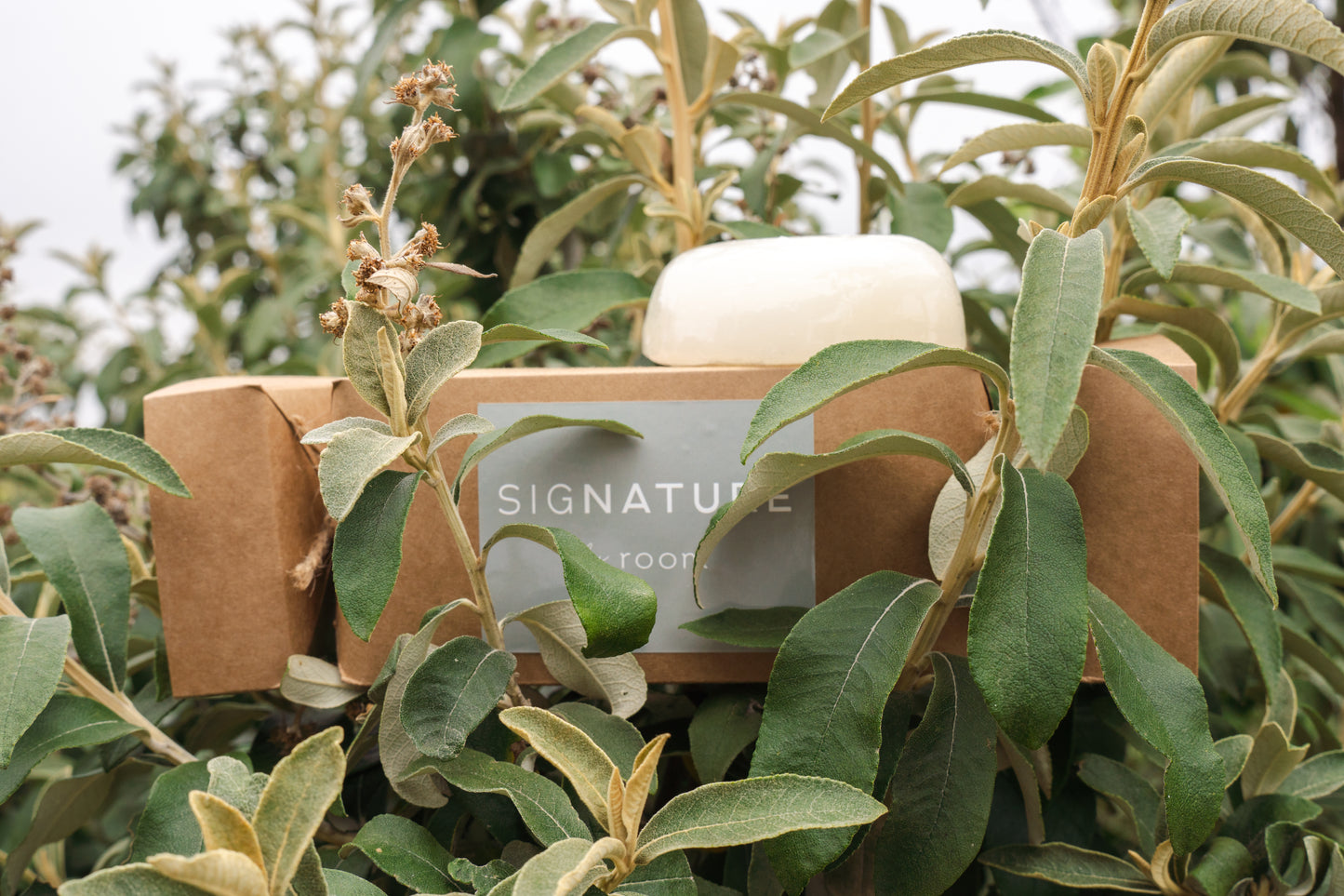 sigNATURE scent pebble soap Christmas Cracker