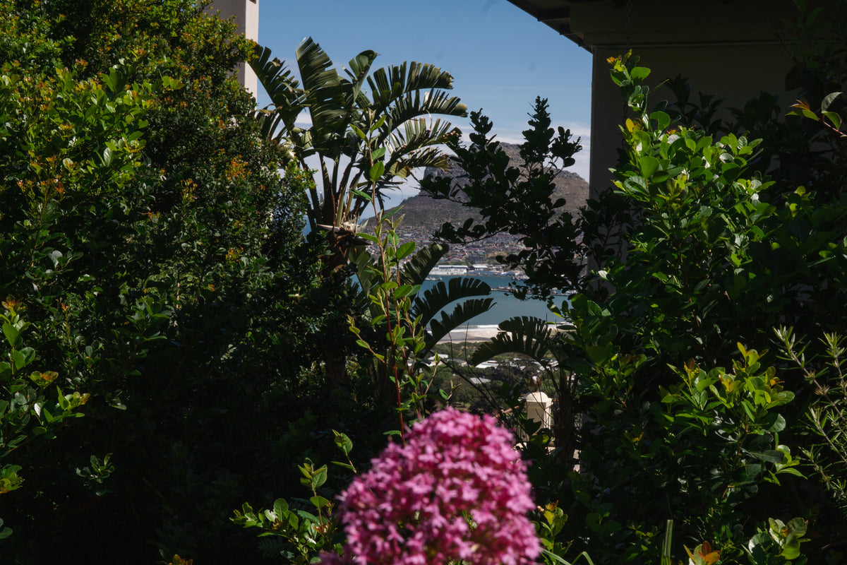 Hout Bay Villa