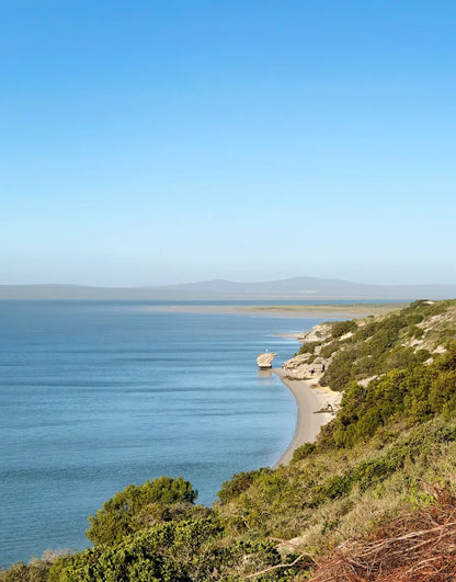 Deep in the West Coast National Park, in one of the most beautiful & tranquil corners of the world is Milkwood Cottage. Sleeps 6.
