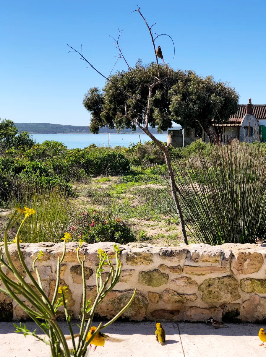 Milkwood Cottage