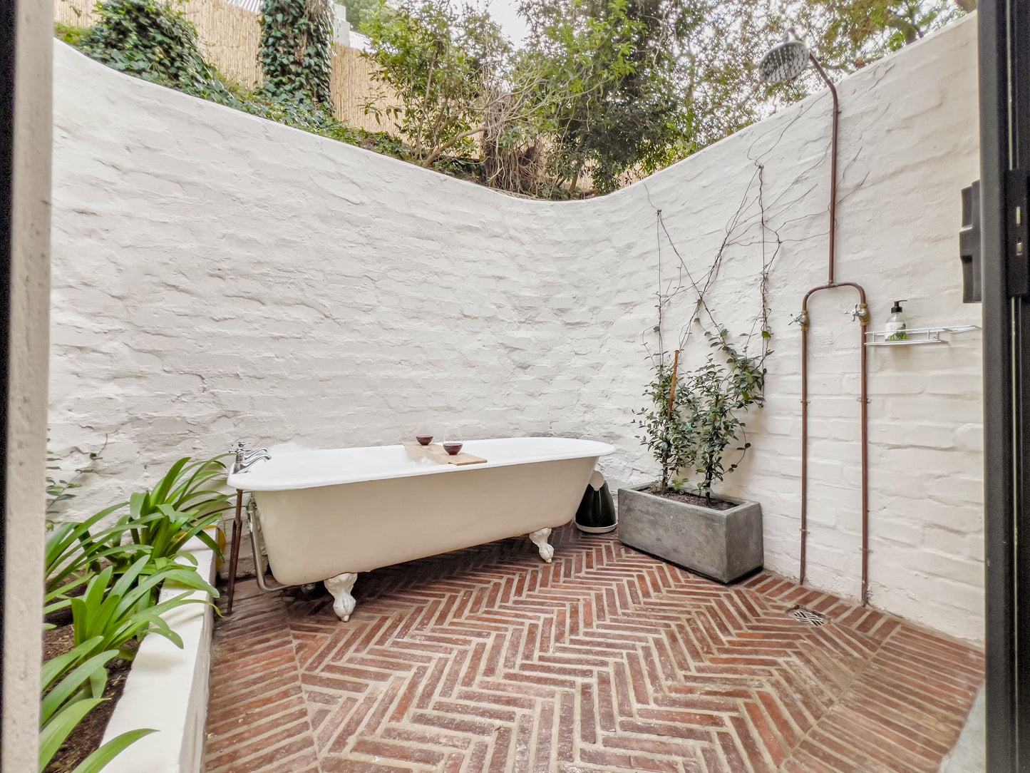 Witteboomen Forest Cottage nestled in the heart of the lush Constantia Winelands comfortably accommodating up to 8 guests across 4 bedrooms.