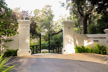 Witteboomen Forest Cottage nestled in the heart of the lush Constantia Winelands comfortably accommodating up to 8 guests across 4 bedrooms.