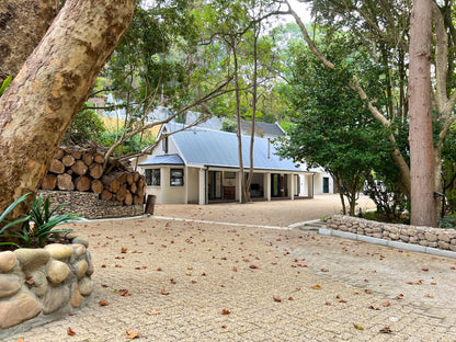 Witteboomen Forest Cottage nestled in the heart of the lush Constantia Winelands comfortably accommodating up to 8 guests across 4 bedrooms.
