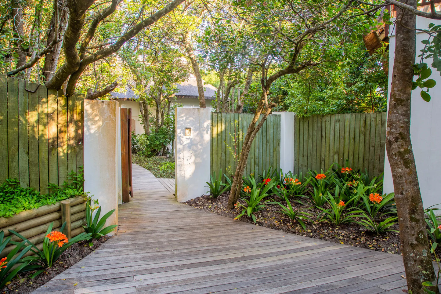 Candlewood Cottage, a thatched holiday villa in St. Francis Bay nestled among Candlewood trees. A serene self-catering retreat sleeping up to 8 guests, featuring elegant, pared-down interiors, a cosy loft with its own TV and kitchenette, and easy access to canals and the beach.